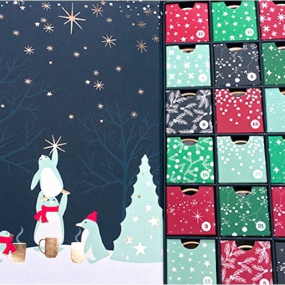 I’m looking for this Davids Tea Advent Calendar box🌷 - Picture 1 of 1